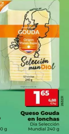 Dia Seleccion Mundial - Queso Gouda En Lonchas
