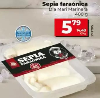 Dia Mari Marinera - Sepia Faraonica
