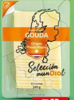Dia Seleccion Mundial - Queso Gouda En Lonchas 