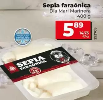 Dia Mari Marinera - Sepia Faraonica