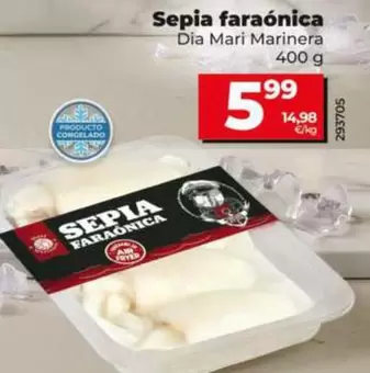 Dia Mari Marinera - Sepia Faraonica
