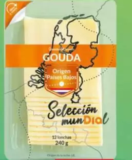 Dia Seleccion Mundial - Queso Gouda En Lonchas