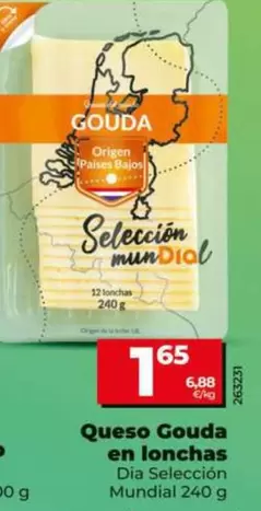 Dia Seleccion Mundial - Queso Gouda En Lonchas