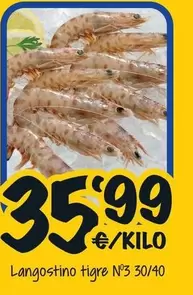 Langostino Tigre N3