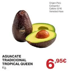 Tropical - Aguacate Tradicional Queen