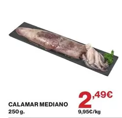 Calamar Mediano