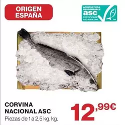origen - Corvina Nacional
