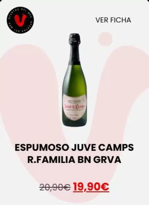Juve Y Camps Reserva Familia - Espumoso BN GRVA
