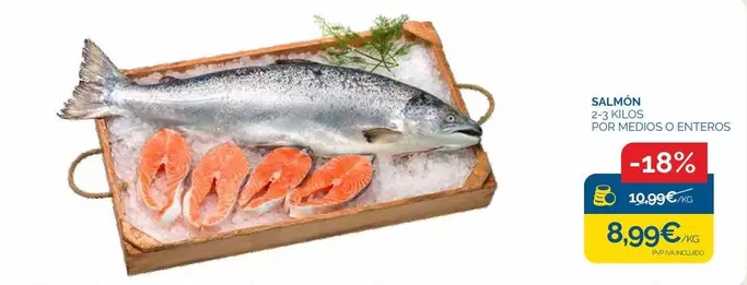 Salmon
