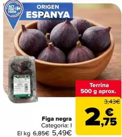 origen - Figa negra
