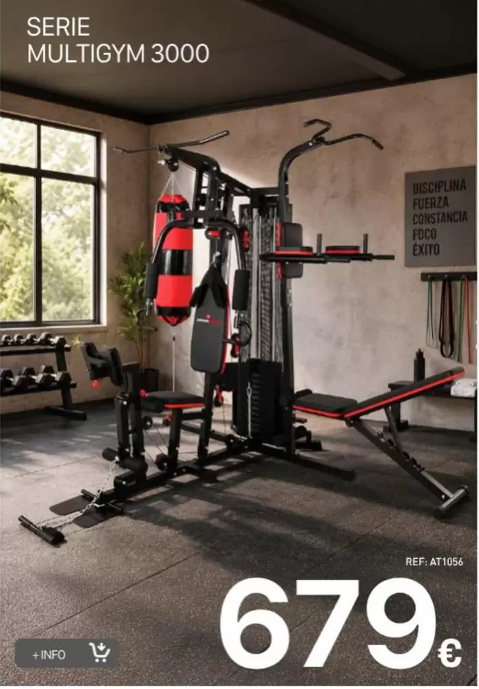 Serie Multigym 3000