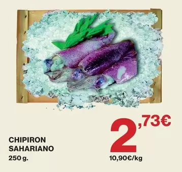 Chipiron Sahariano