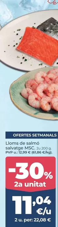 Llom De Salmon Salvaje Msc