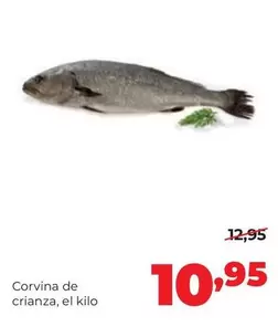 Alimerka - Corvina De Crianza