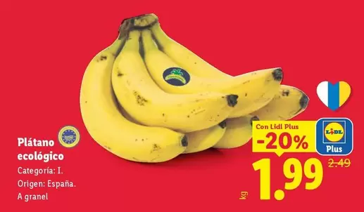 Plátano Ecológico