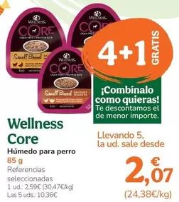 Wellness Core - Humedo Para Perro