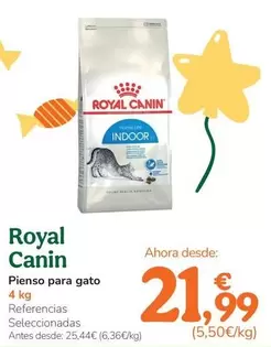 Royal Canin - Pienso Para Gato