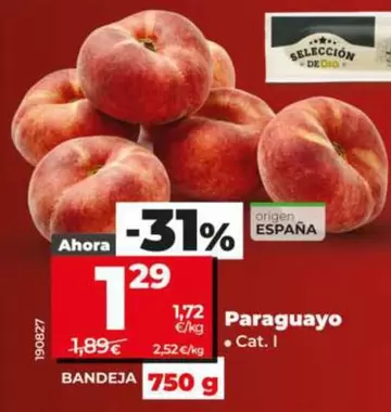 Paraguayo