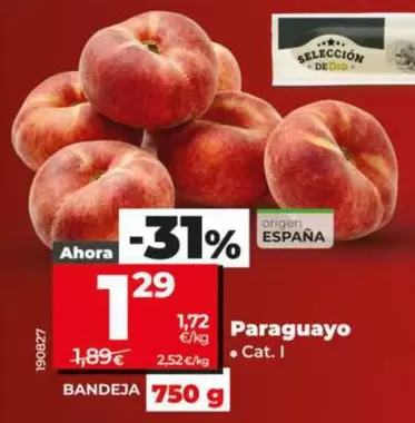 Paraguayo 