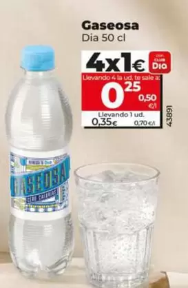 Dia - Gaseosa
