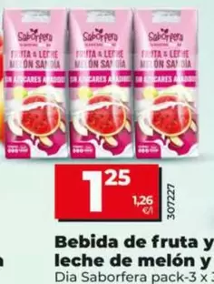 Dia Saborfera - Bebida De Fruta Y Leche De Melon Y Sandia Sin Azucar