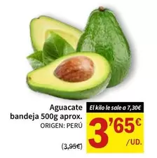 origen - Aguacate Bandeja 500g