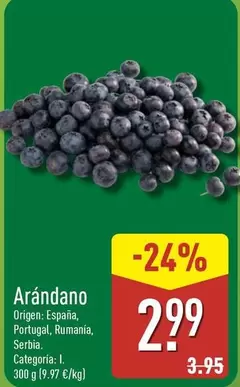 Arándano