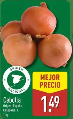 Cebolla