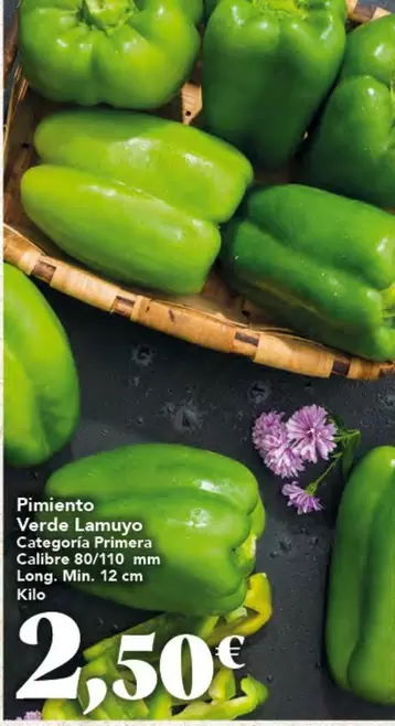 Pimiento Verde Lamuyo