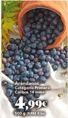 Arandanos Categoria Primera Calibre