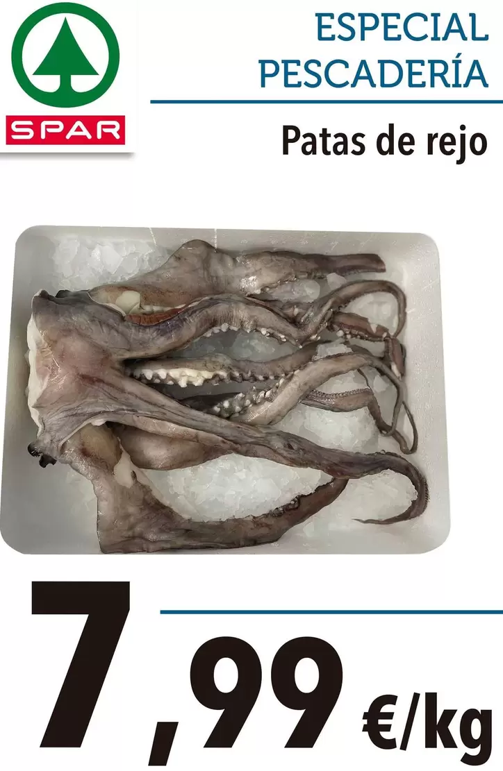 Patas De Rejo