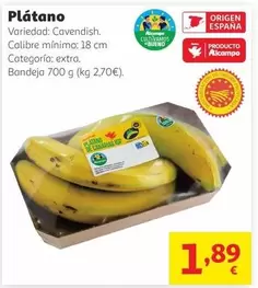 origen - Plátano