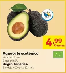 origen - Aguacate Ecologico