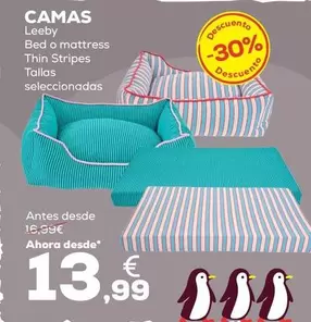 Leeby - Camas
