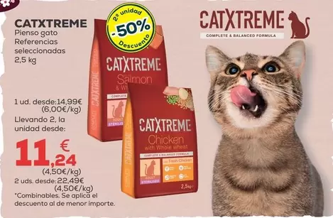 Catxtreme - Pienso Gato