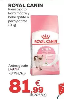 Royal Canin - Pienso Gato Para Madre Y Bebe Gatito 