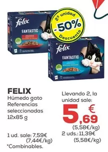 Felix - Humedo Gato 