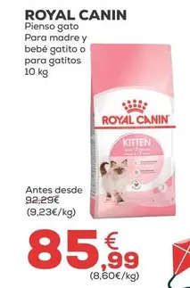 Royal Canin - Pienso Gato Para Madre Y Bebe Gatito O Para Gatitos