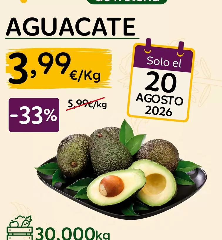 Solo - Aguacate