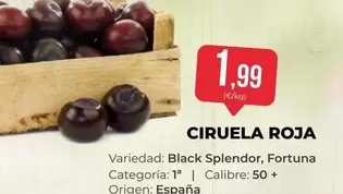 origen - Ciruela Roja
