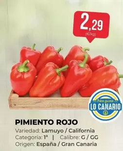 California - Pimiento Rojo