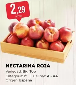 origen - Nectarina Roja