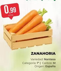 origen - Zanahoria