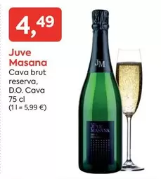 Masana - Cava Brut Reserva, D.o. Cava
