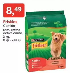 Purina - Comida Para Perros Active Carne