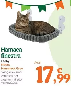 Leeby - Hamaca Ventana