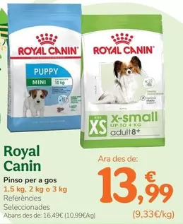 Royal Canin - Pienso Para Perro