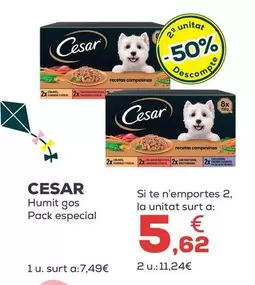 Cesar - Humit Gas