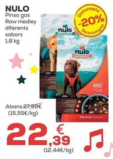 Nulo - Pienso Gas