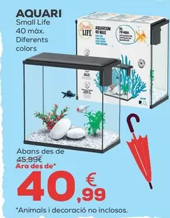 Small Life - Acuario